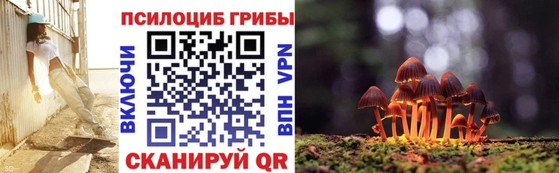 Псилоцибиновые грибы Psilocybine cubensis  Купить  Зубцов 